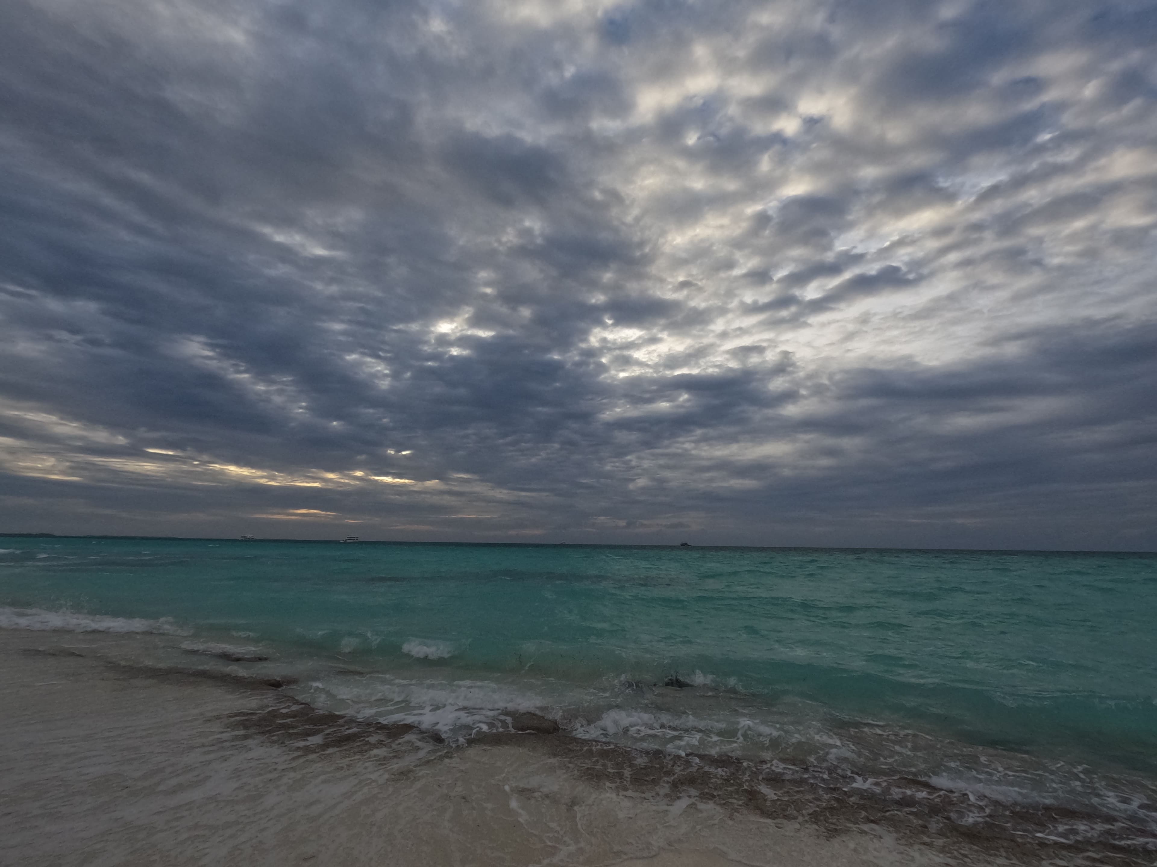 תמונת הבריכה