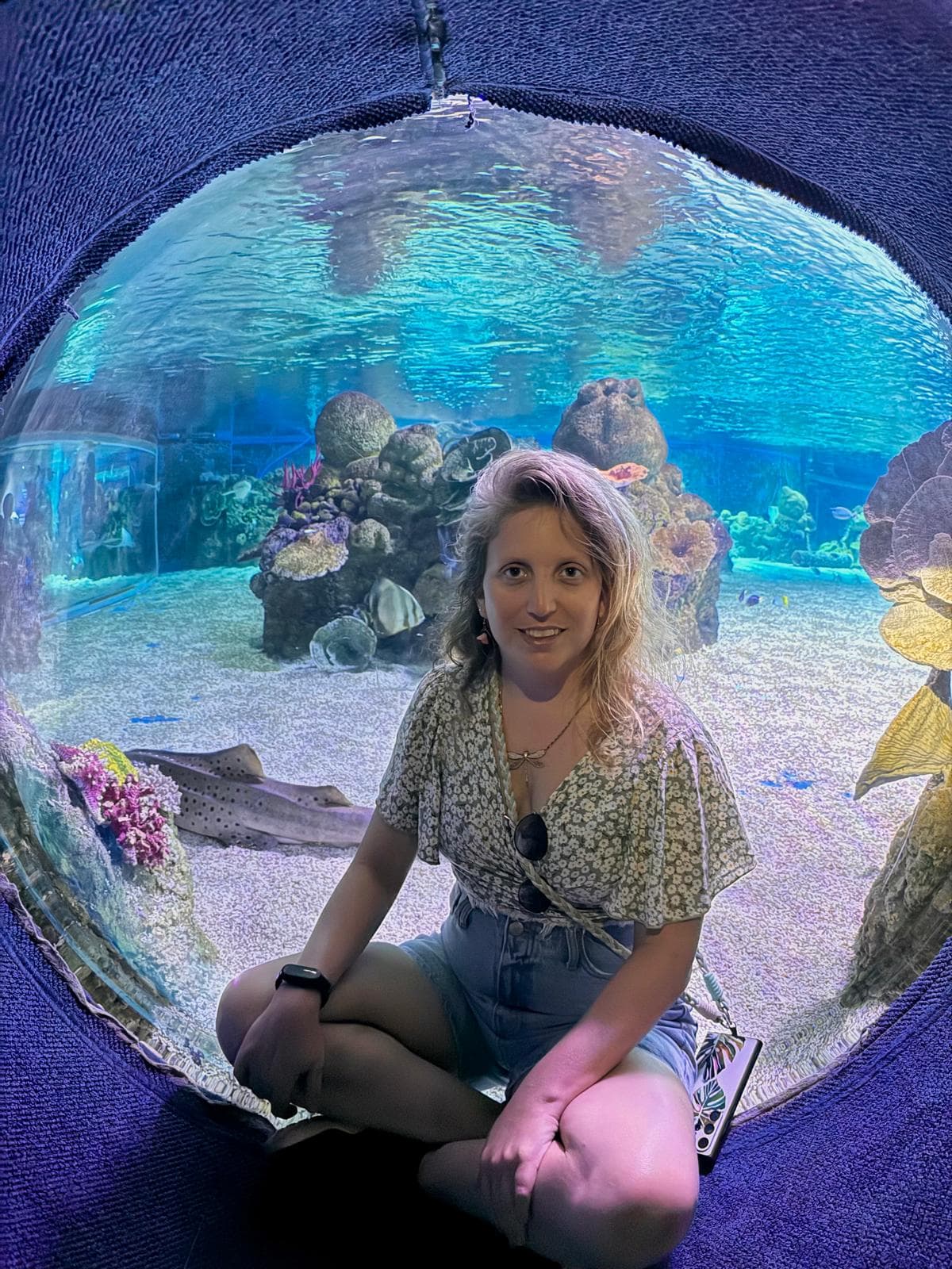 שרון קליימן